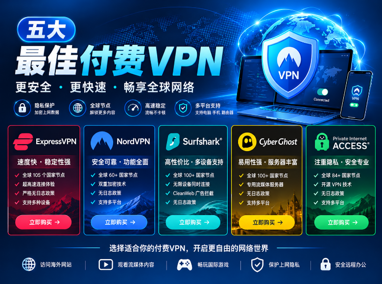 最受欢迎的付费VPN